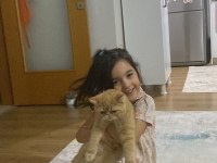 Muhteşem ikili Safkan Baba ve oğul kedimiz