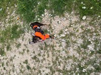 Oğlumu çiftleştirmek için dişi chihuahua arıyorum