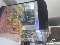 Uyguna 82 litre full ekipman akvaryum
