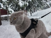 DÜNYA TATLISI KIZIMIZ