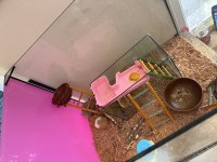hamster uyguna