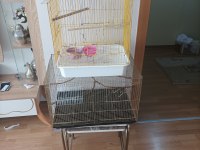 ÇEŞİTLİ KAFESLER TAKAS OLUR