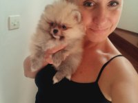 MİNNAK POMERANİAN BOO BEBEKLER