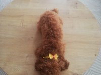 Köpeğimiz Kukiş