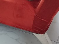 Nadir Genetik ve Tam Şecere Luis (BLH ay11) Kedimiz