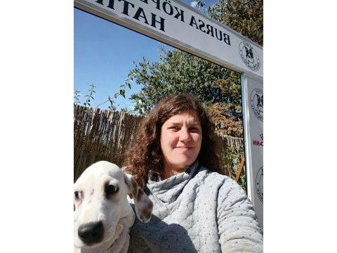 Efsane yavru dalmaçyalı köpekler
