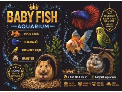 Antalyadan tüm türkiyeye hamster icin tek adres