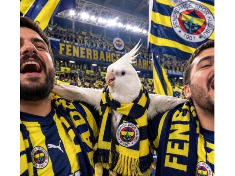 Fanatik fenerbahçeli sultan papağanı