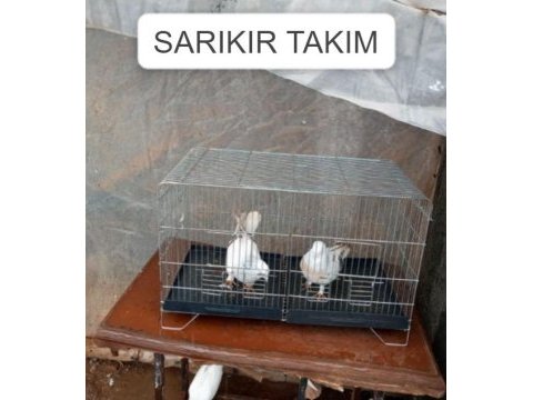 Sarıkır takım