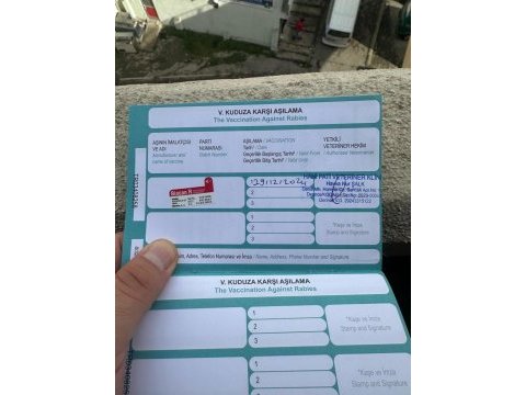 Harika çok güzel bir kedimiz yedi aylık