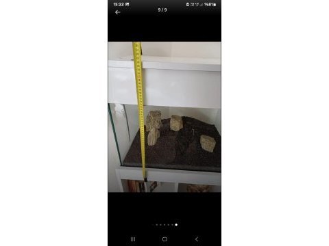 Özel yapım akvaryum ve malzeme