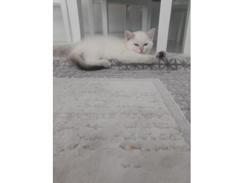 Bal küpü oyuncu kızımız yuvasını arıyor