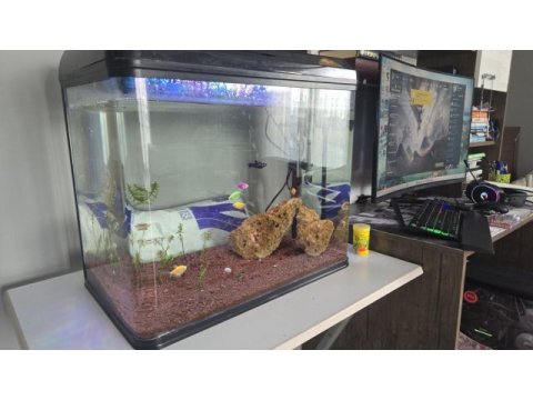 82 litre full ekipman bitkili akvaryum