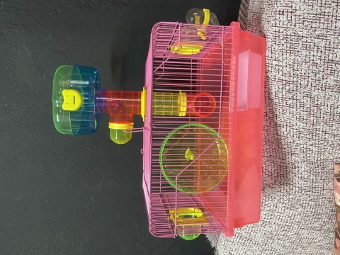 Hamster ve tüm ihtiyaçları için buradayız