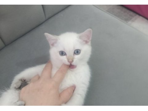 Bal küpü oyuncu kızımız yuvasını arıyor