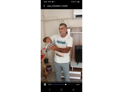 Konuşan full evcil jako papağanı