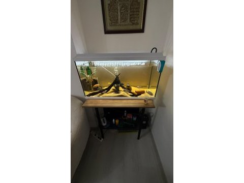 Satılık komple akvaryum