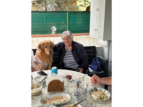 Golden kırması için ömürlük yuva