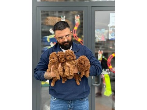 Çağrı çemçemin sizin için seçtiği yavrular 