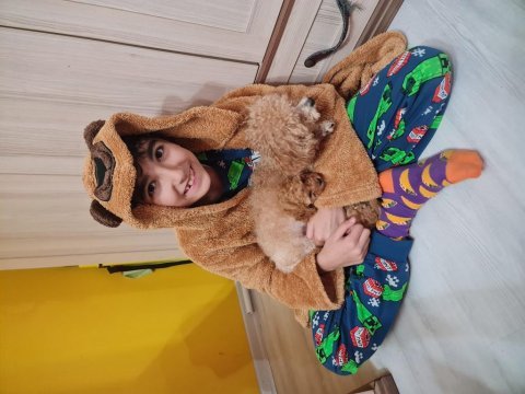 Poodle bebişimiz