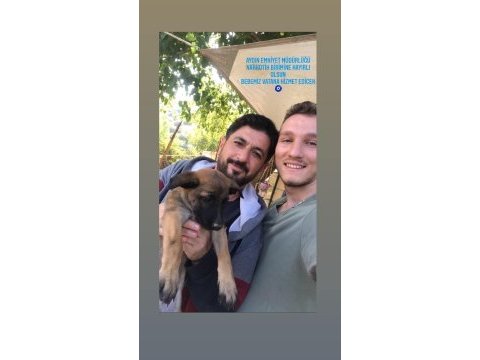6 yıllık emeğin sonucu malinois yavrular (yasal çiftlikten)
