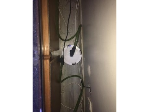 Komple akvaryumla verilecek 22 adet etçil pirhana