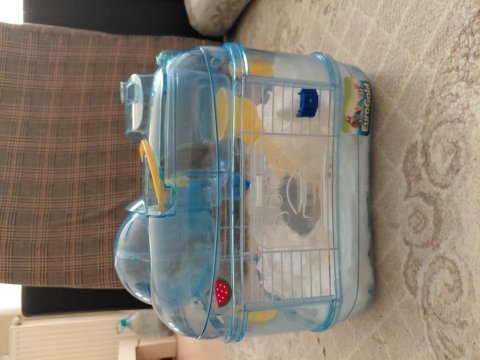 9 campbell hamster ve kafes