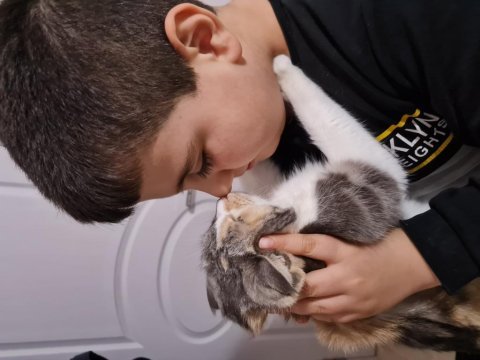 Kedimiz şifa mıza yeni bir yuva arıyoruz