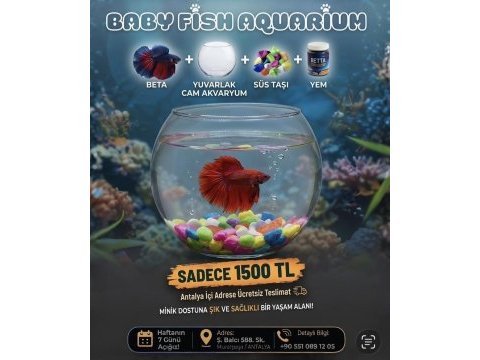 Kampanya beta balığı (aynı gün adrese teslim)