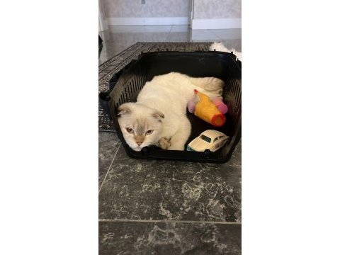 6 aylık oğlumuza yuva arıyoruz