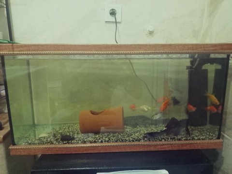 80*40*30 akvaryum set