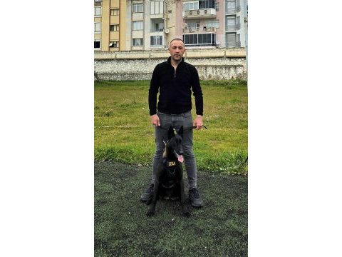 Fcı a şecereli malinois yavrular
