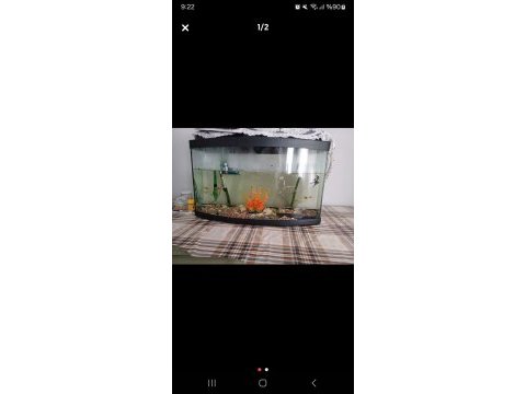 Akvaryum ısıtıcı motor ve balıklar ile set halinde
