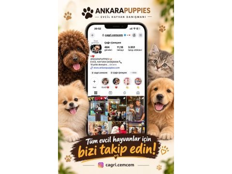 Çağrı çemçem in sizin için seçtiği özel yavrular 