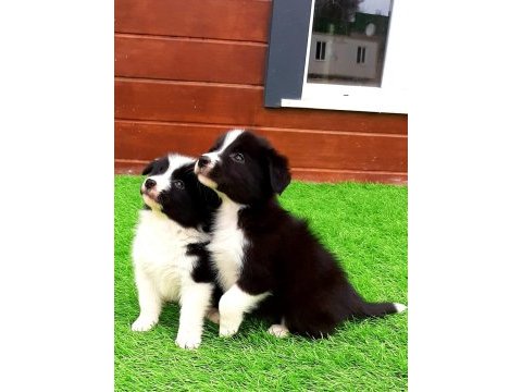 Eşsiz bir deneyim için bizi aramadan karar vermeyn