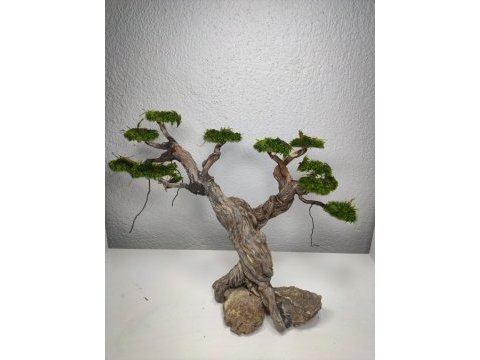 Akvaryum dekoru moss ağacı