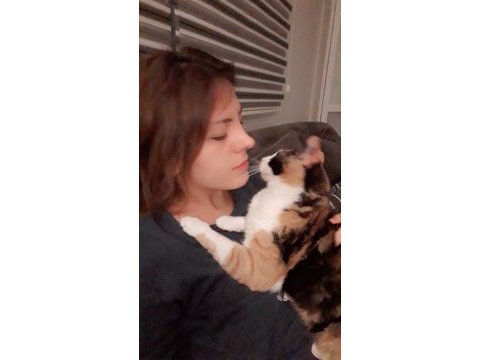 İlgi delisi, kucak bağımlısı dişi kedimiz