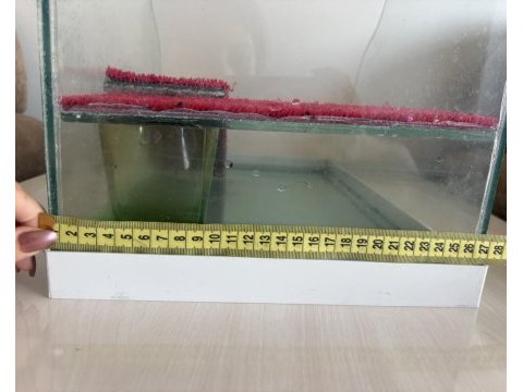 Su kaplumbağası ve akvaryumu