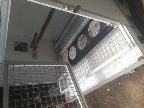 Jako papağanı üretim kafesi ve yuvalık