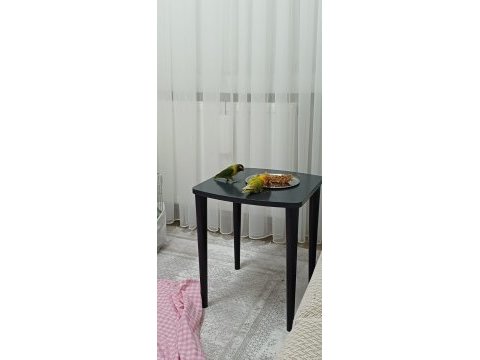 Maskeli oğlan kuşumuz