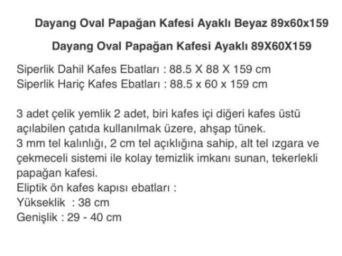 9 aylık iskender papağanı