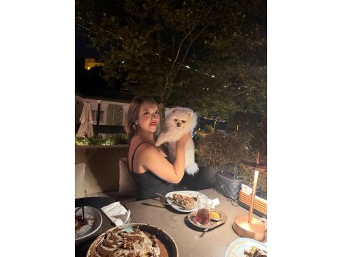 Pomeranian boo köpeğimiz