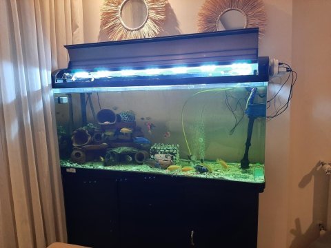 125×50×45 cm mobilyalı ithal akvaryum