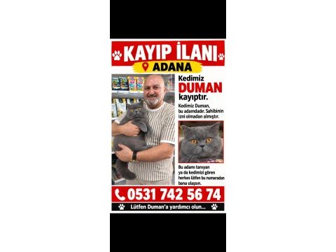 Kayıp kedimizi arıyoruz yardımcı olun lütfen