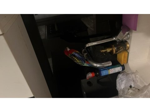 Sahibinden rozella papağanı
