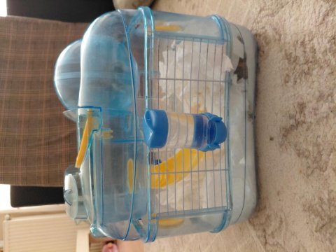 9 campbell hamster ve kafes