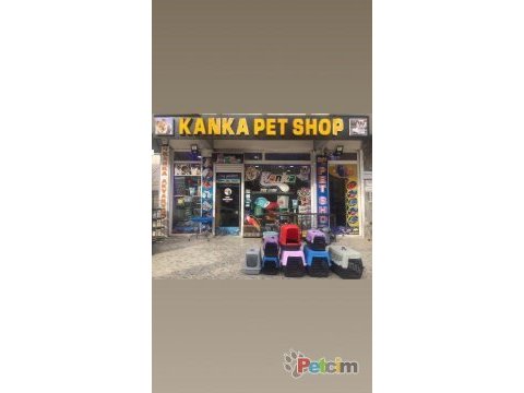 Karışık ciklet balıkları 