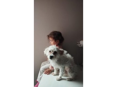 7 aylık çipi var gayet sağlıklı köpeğimiz