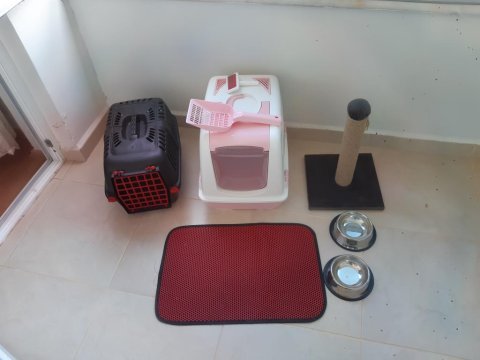 Kedi malzemesi