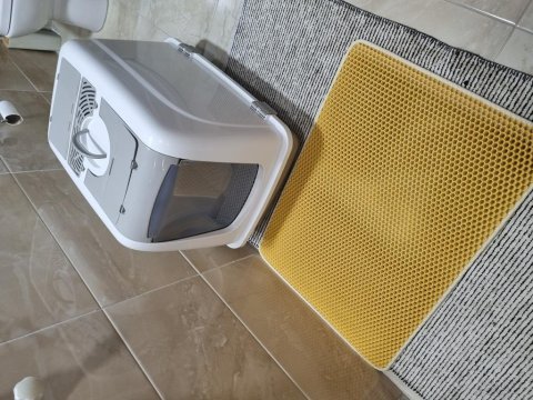 Acil sahiplendirme 8 aylık kedimiz